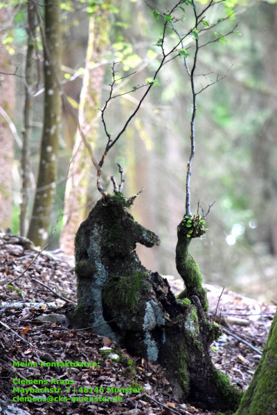 Waldtrude